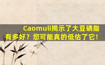 Caomuli揭示了大豆磷脂有多好？您可能真的低估了它！