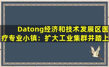 Datong经济和技术发展区医疗专业小镇：扩大工业集群并踏上优先发展优势的道路
