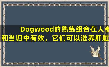 Dogwood的熟练组合在人参和当归中有效，它们可以滋养肝脏和肾脏，高血压稳步降低！