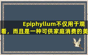 Epiphyllum不仅用于观看，而且是一种可供家庭消费的美味菜，也不能在餐厅吃。