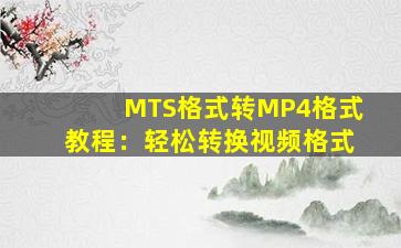 MTS格式转MP4格式教程：轻松转换视频格式