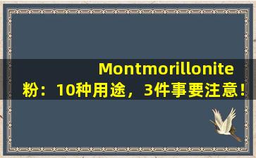 Montmorillonite粉：10种用途，3件事要注意！