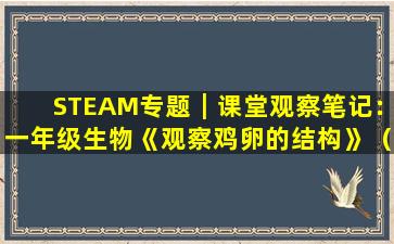 STEAM专题┃课堂观察笔记：一年级生物《观察鸡卵的结构》（1）