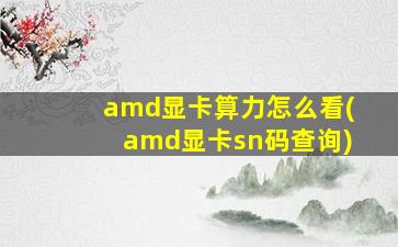amd显卡算力怎么看(amd显卡sn码查询)