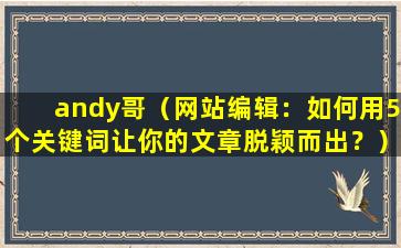 andy哥（网站编辑：如何用5个关键词让你的文章脱颖而出？）