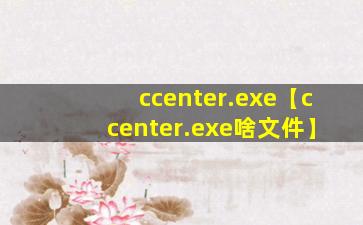 ccenter.exe【ccenter.exe啥文件】