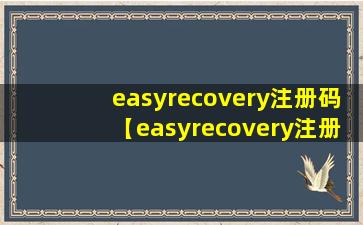 easyrecovery注册码【easyrecovery注册码生成器绿色版】