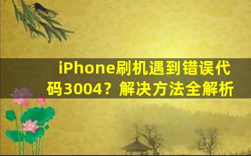 iPhone刷机遇到错误代码3004？解决方法全解析