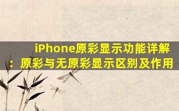 iPhone原彩显示功能详解：原彩与无原彩显示区别及作用