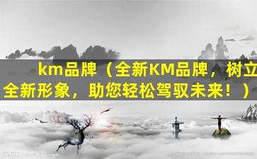 km品牌（全新KM品牌，树立全新形象，助您轻松驾驭未来！）