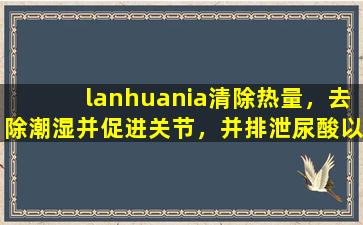 lanhuania清除热量，去除潮湿并促进关节，并排泄尿酸以治疗痛风