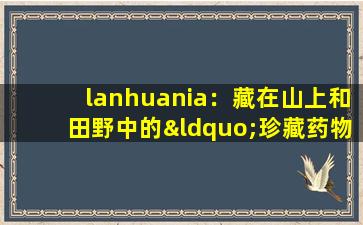 lanhuania：藏在山上和田野中的“珍藏药物材料”