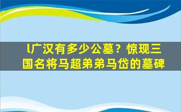 l广汉有多少公墓？惊现三国名将马超弟弟马岱的墓碑