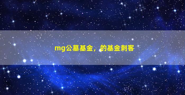 mg公墓基金，的基金刺客