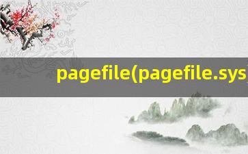 pagefile(pagefile.sys)