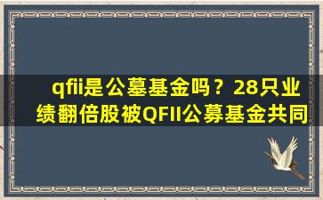 qfii是公墓基金吗？28只业绩翻倍股被QFII公募基金共同重仓