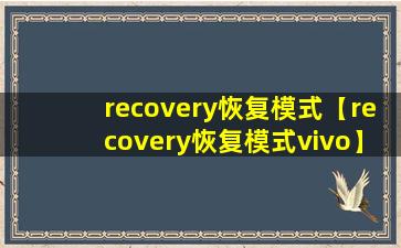 recovery恢复模式【recovery恢复模式vivo】