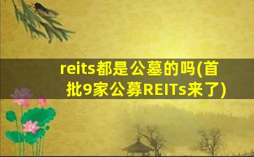 reits都是公墓的吗(首批9家公募REITs来了)