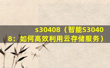 s30408（智能S30408：如何高效利用云存储服务）