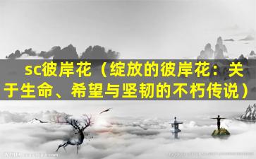 sc彼岸花（绽放的彼岸花：关于生命、希望与坚韧的不朽传说）