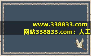 www.338833.com（网站338833.com：人工智能助手助力效率提升）