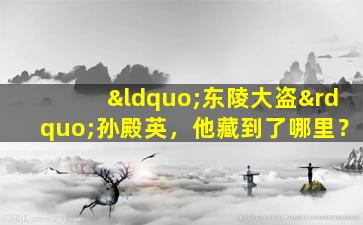 “东陵大盗”孙殿英，他藏到了哪里？