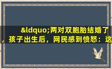 “两对双胞胎结婚了，孩子出生后，网民感到愤怒：这比赢得彩票的可能性低！”