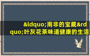 “南非的宝藏”叶灰花茶味道健康的生活