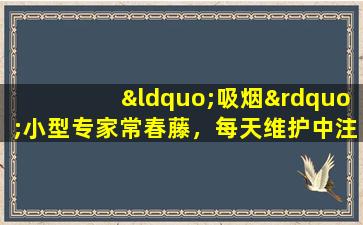 “吸烟”小型专家常春藤，每天维护中注意的5个技巧，请确保叶子是绿色和油腻的