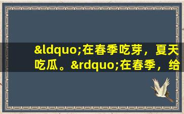 “在春季吃芽，夏天吃瓜。”在春季，给儿童再增加4个春季芽，这些春季芽丰富并有助于增长