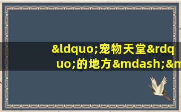 “宠物天堂”的地方——中国宠物市场调查报告