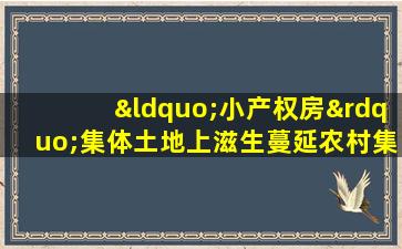 “小产权房”集体土地上滋生蔓延农村集体蔓延