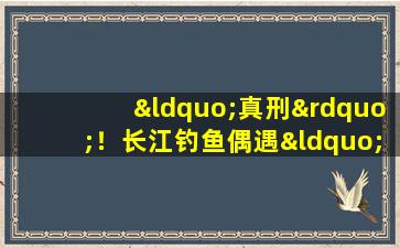 “真刑”！长江钓鱼偶遇“小精灵”，能看不能抓，网友：这就对了