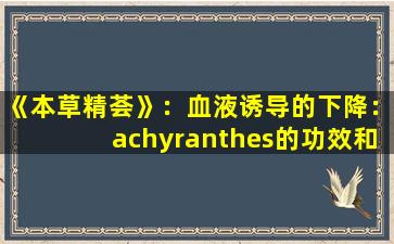 《本草精荟》：血液诱导的下降：achyranthes的功效和应用