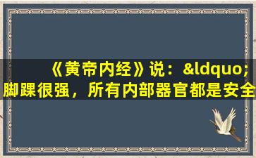 《黄帝内经》说：“脚踝很强，所有内部器官都是安全的。”这样做的原因是什么？