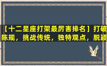 【十二星座打架最厉害排名】打破陈规，挑战传统，独特观点，脱颖而出！