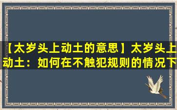 【太岁头上动土的意思】太岁头上动土：如何在不触犯规则的情况下创新突破