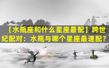 【水瓶座和什么星座最配】跨世纪配对：水瓶与哪个星座最速配？