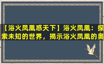 【浴火凤凰惑天下】浴火凤凰：探索未知的世界，揭示浴火凤凰的奥秘