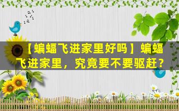 【蝙蝠飞进家里好吗】蝙蝠飞进家里，究竟要不要驱赶？