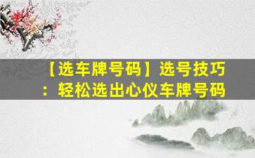 【选车牌号码】选号技巧：轻松选出心仪车牌号码
