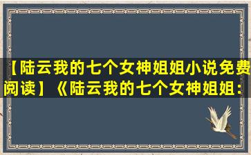 【陆云我的七个女神姐姐小说免费阅读】《陆云我的七个女神姐姐：疗愈系小说的免费阅读体验》