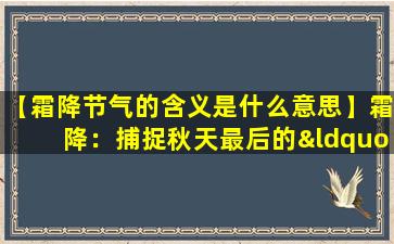 【霜降节气的含义是什么意思】霜降：捕捉秋天最后的“霜”韵
