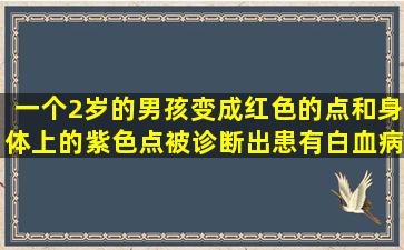 一个2岁的男孩变成红色的点和身体上的紫色点被诊断出患有白血病！医生：当心3个症状并远离2个物体