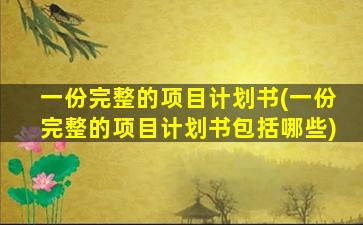 一份完整的项目计划书(一份完整的项目计划书包括哪些)