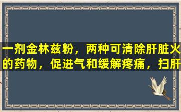 一剂金林兹粉，两种可清除肝脏火的药物，促进气和缓解疼痛，扫肝炎，胃炎和胆囊炎