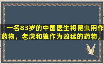 一名83岁的中国医生将昆虫用作药物，老虎和狼作为凶猛的药物，专门治疗男性疾病