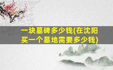 一块墓碑多少钱(在沈阳买一个墓地需要多少钱)