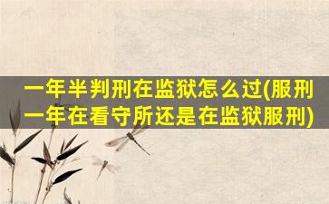 一年半判刑在监狱怎么过(服刑一年在看守所还是在监狱服刑)