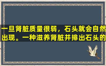一旦肾脏质量很弱，石头就会自然出现。一种滋养肾脏并排出石头的中国专利药，使尿液变得容易，石头将没有痕迹消失。